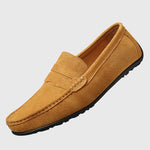 Dia kép