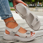 Dia kép